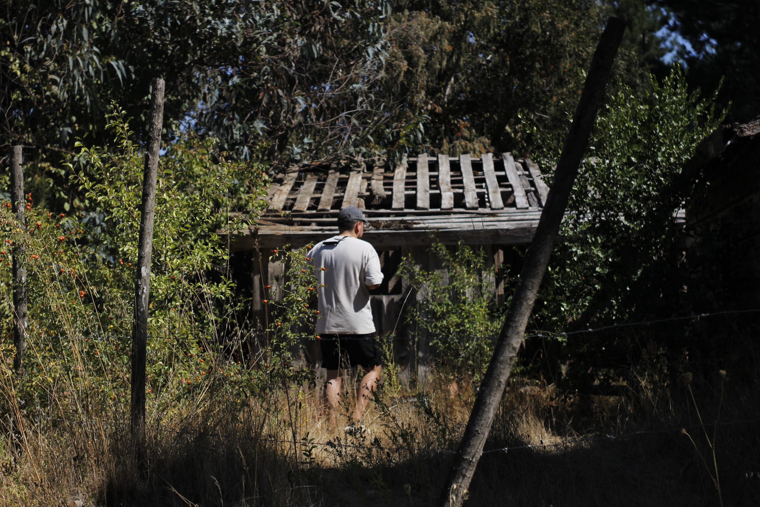 Día 2: Donde vive Don Mario