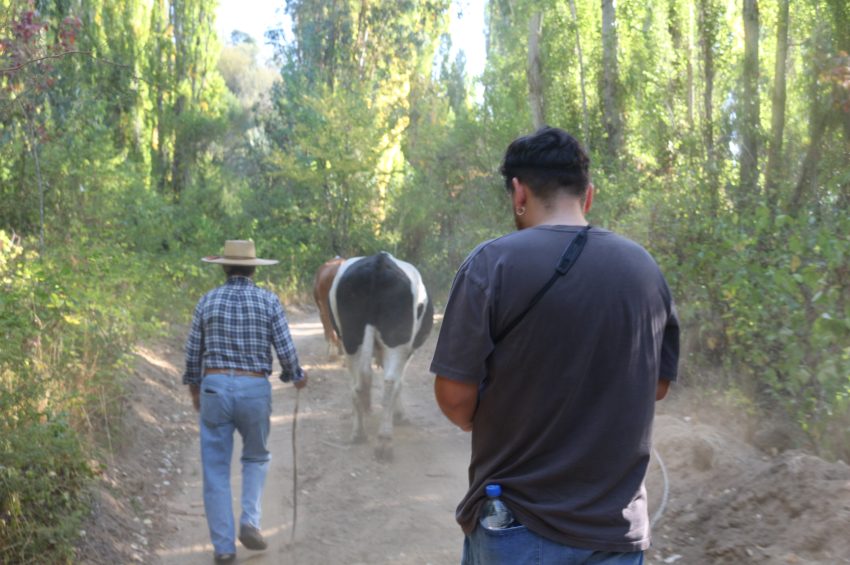 Día 3: «En el paso de allá abajo»