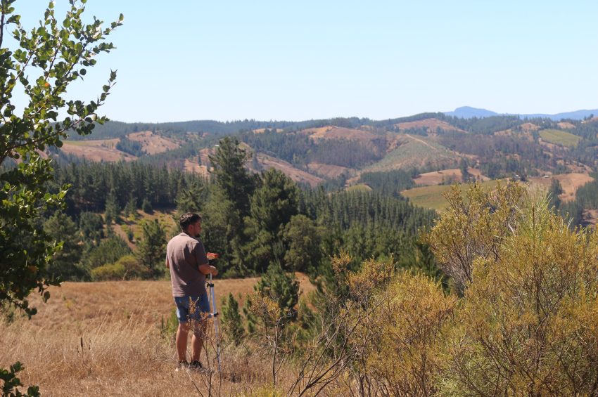 Día 5: El infinito de la inmensidad, o la cercanía del detalle